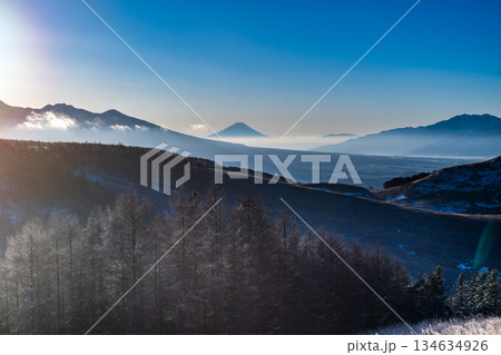 厳冬の霧ヶ峰高原から白く輝く霧氷と富士山 134634926