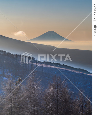 厳冬の霧ヶ峰高原から白く輝く霧氷と富士山 134634927