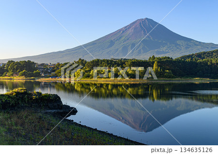 山梨県・夏の河口湖に映る逆さ富士 山梨県・夏の河口湖に映る逆さ富士 134635126