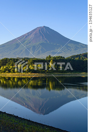 山梨県・夏の河口湖に映る逆さ富士 山梨県・夏の河口湖に映る逆さ富士 134635127