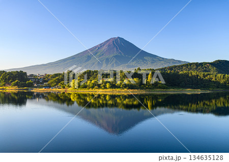 山梨県・夏の河口湖に映る逆さ富士 山梨県・夏の河口湖に映る逆さ富士 134635128
