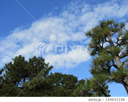 雨上がり青空奇麗稲毛浜 134635198