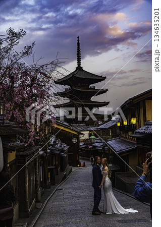 京都 五重塔と桜のある風景 京都 五重塔と桜のある風景 134635201