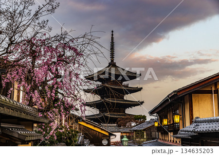 京都　五重塔と桜のある風景 134635203