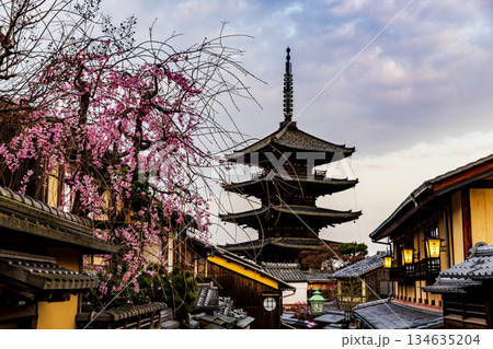 京都　五重塔と桜のある風景 134635204