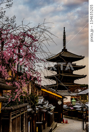 京都　五重塔と桜のある風景 134635205