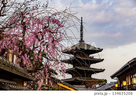 京都 五重塔と桜のある風景 京都 五重塔と桜のある風景 134635208