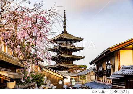 京都 五重塔と桜のある風景 京都 五重塔と桜のある風景 134635212