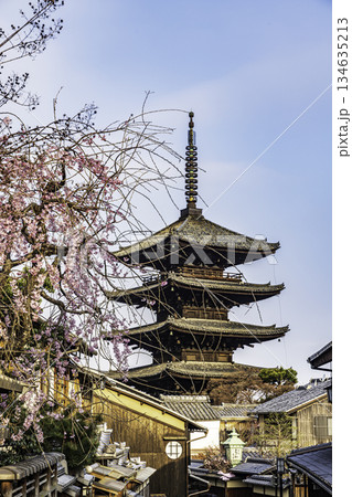 京都　五重塔と桜のある風景 134635213