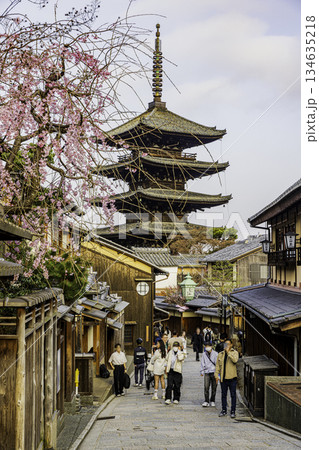 京都 五重塔と桜のある風景 京都 五重塔と桜のある風景 134635218