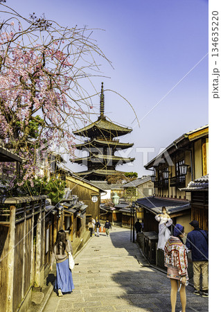 京都 五重塔と桜のある風景 京都 五重塔と桜のある風景 134635220