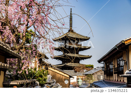 京都　五重塔と桜のある風景 134635221