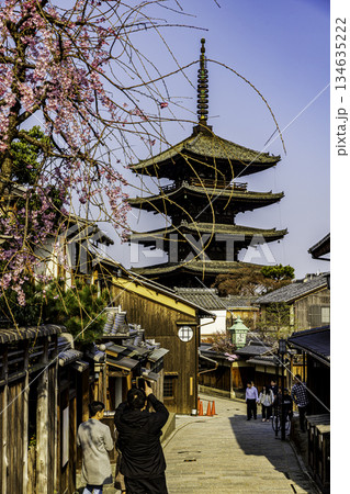 京都 五重塔と桜のある風景 京都 五重塔と桜のある風景 134635222