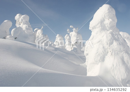 樹氷の白い雪道 134635292