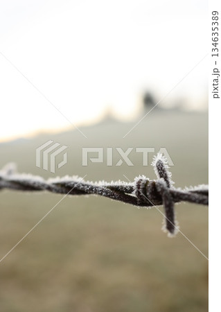 Close up of Frosted Barbed Wire in Winter Close up of Frosted Barbed Wire in Winter 134635389