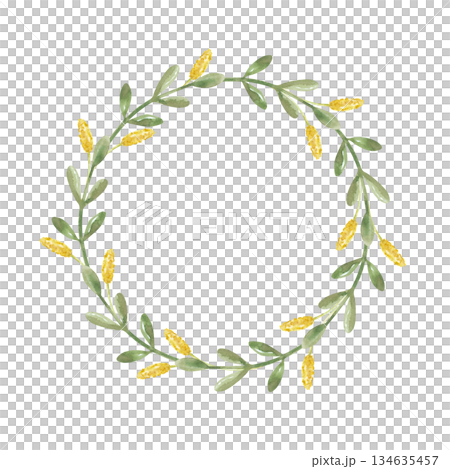 A round frame of green branches with leaves and yellow spikes of dry grass on an isolated background. Watercolor illustration of a wreath of thin branches of grass in natural colors. A botanical A round frame of green branches with leaves and yellow spikes of dry grass on an isolated background. Watercolor illustration of a wreath of thin branches of grass in natural colors. A botanical 134635457
