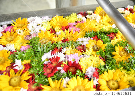花手水 花手水 134635631