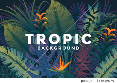 Tropical Background Tropical Background 134636079
