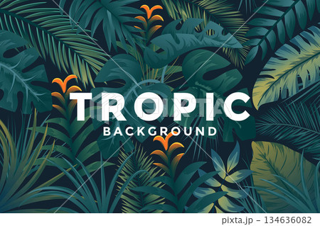 Tropical Background 4 Tropical Background 4 134636082