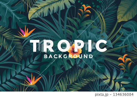 Tropical Background 5 Tropical Background 5 134636084