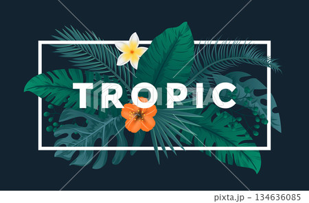 Tropical Background 134636085