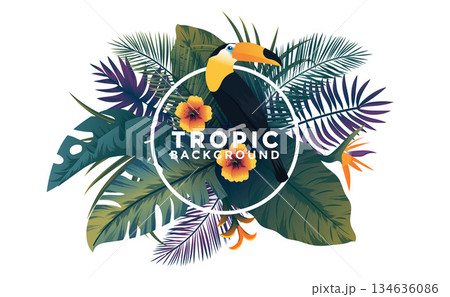 Tropical Background with frame - Bird And Plants Tropical Background with frame - Bird And Plants 134636086