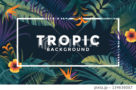 Tropical Background with frame 4 134636087