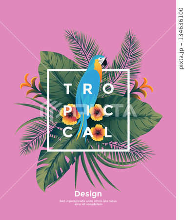 Tropical Bakground with frame 134636100