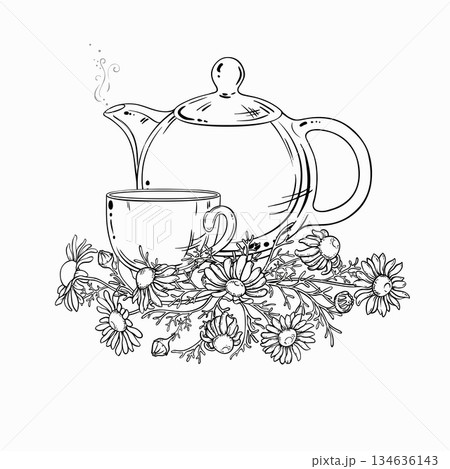 Chamomile Tea in Teapot Outline Illustration. 134636143