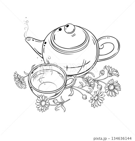 Calendula Tea in Teapot Outline Illustration. 134636144