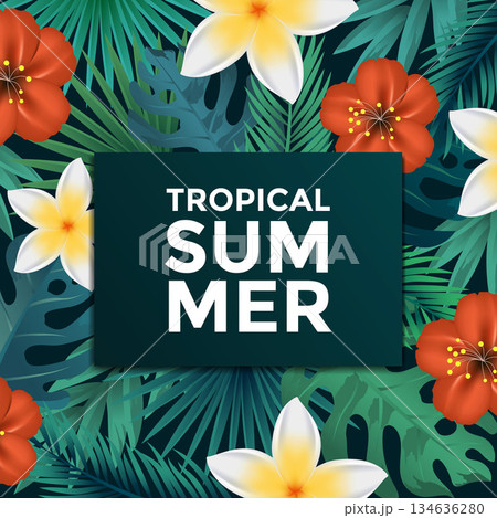 Tropical Poster 4 Tropical Poster 4 134636280