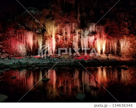 ライトアップされた森と水面に映る幻想的な夜景 134636348