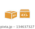 みかん　段ボール箱 134637327