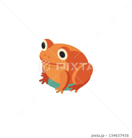 Cartoon style frog bright orange amphibian vector art colorful isolated design 134637438