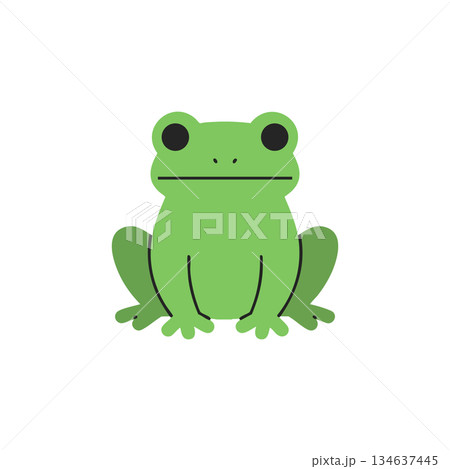Green frog sitting flat with simple design cute amphibian animal vector illustration Green frog sitting flat with simple design cute amphibian animal vector illustration 134637445
