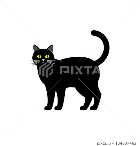 Black cat with yellow eyes standing alert vector illustration of feline animal with raised tail 134637462