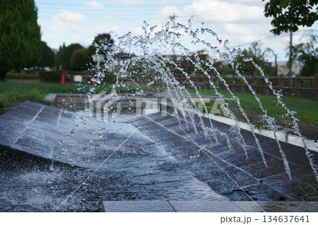 公園の噴水遊び場 公園の噴水遊び場 134637641