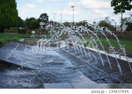 公園の噴水遊び場 公園の噴水遊び場 134637644