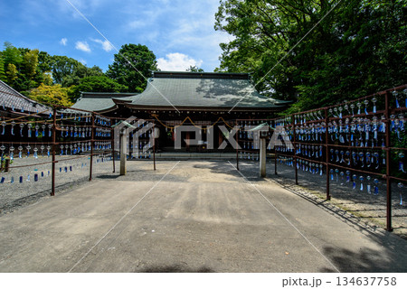 夏の水無瀬神宮 134637758