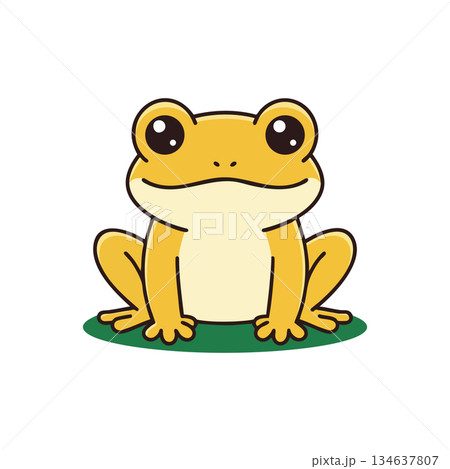 Yellow frog cartoon sitting on green patch vector illustration with big eyes and simple style Yellow frog cartoon sitting on green patch vector illustration with big eyes and simple style 134637807