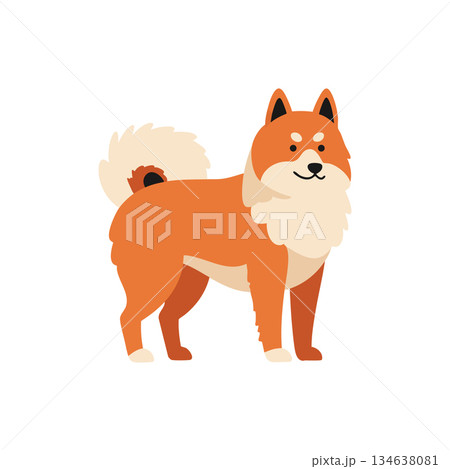 Shiba Inu dog standing with fluffy tail and upright ears in cartoon style vector illustration Shiba Inu dog standing with fluffy tail and upright ears in cartoon style vector illustration 134638081