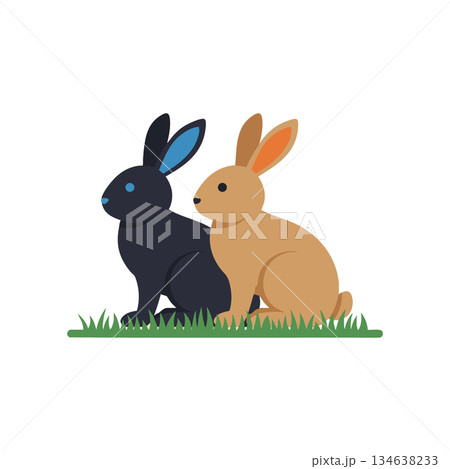 Two rabbits sitting on green grass with black and brown fur vector illustration Two rabbits sitting on green grass with black and brown fur vector illustration 134638233