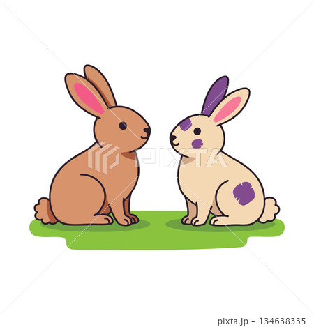 Two Cute Rabbits Sitting Facing Each Other on Green Grass Vector Illustration 134638335