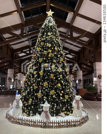 クリスマスツリー クリスマスツリー 134638580