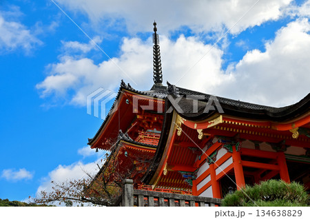 The view of kiyomizu-dera temple with trees and blue sky background in Kyoto, Japan. Major tourist attraction in Kansai region in Japan. Japan famous historic architecture. Building abstract. 134638829
