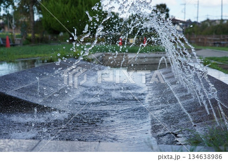 噴水のある公園 134638986