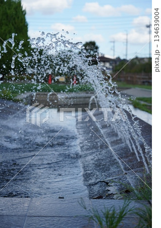 噴水のある公園 134639004