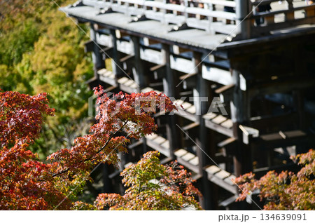 Close-up of the structure of kiyomizu-dera temple with trees in Kyoto, Japan. Major tourist attraction in Kansai region in Japan. Japan famous historic architecture. Building abstract. Travel concept Close-up of the structure of kiyomizu-dera temple with trees in Kyoto, Japan. Major tourist attraction in Kansai region in Japan. Japan famous historic architecture. Building abstract. Travel concept 134639091