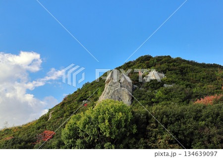 燈籠地山(兵庫県) 燈籠地山(兵庫県) 134639097
