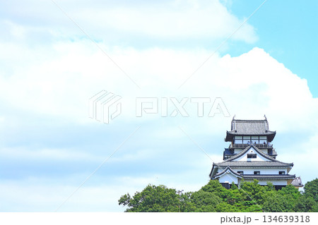 愛知県犬山市、国宝犬山城の風景 134639318